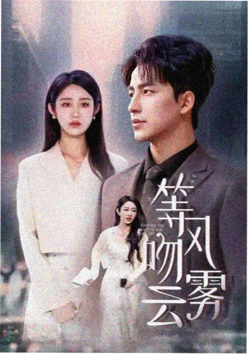 家庭伦理剧图片